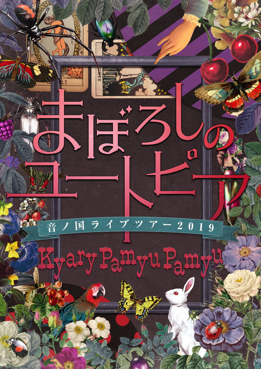 きゃりーぱみゅぱみゅ　Kyary pamyupamyu KPP 出雲大社　音の国　Izumotaisha_KV