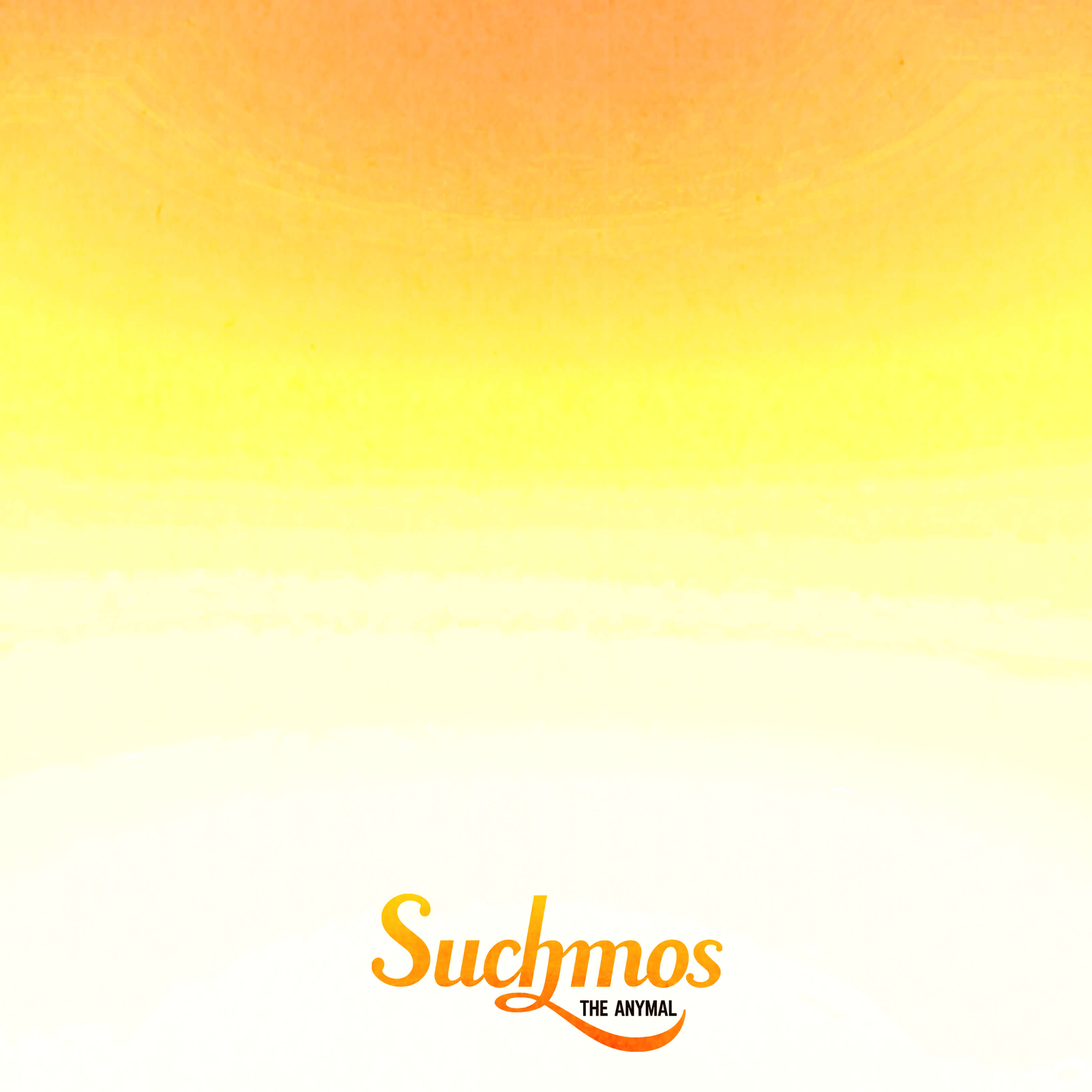 suchmos_music-delivery_the-anymal_truck_%e3%82%b5%e3%83%81%e3%83%a2%e3%82%b9_%e3%82%b6%e3%82%a2%e3%83%8b%e3%83%9e%e3%83%ab_%e3%83%88%e3%83%a9%e3%83%83%e3%82%af_%e7%a7%bb%e5%8b%95%e8%b2%a9%e5%a3%b2_-2