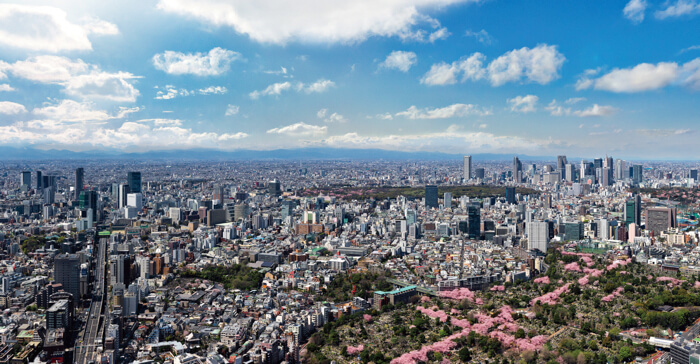 六本木ヒルズ roppongi hills sakura 東京シティビューから見た景色