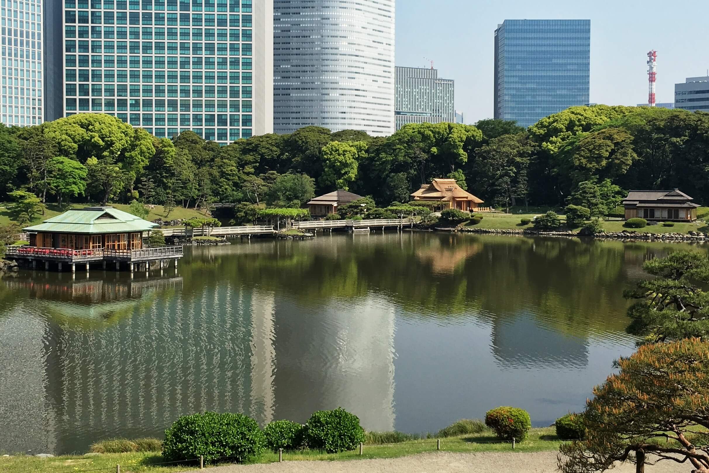 Tokyo park