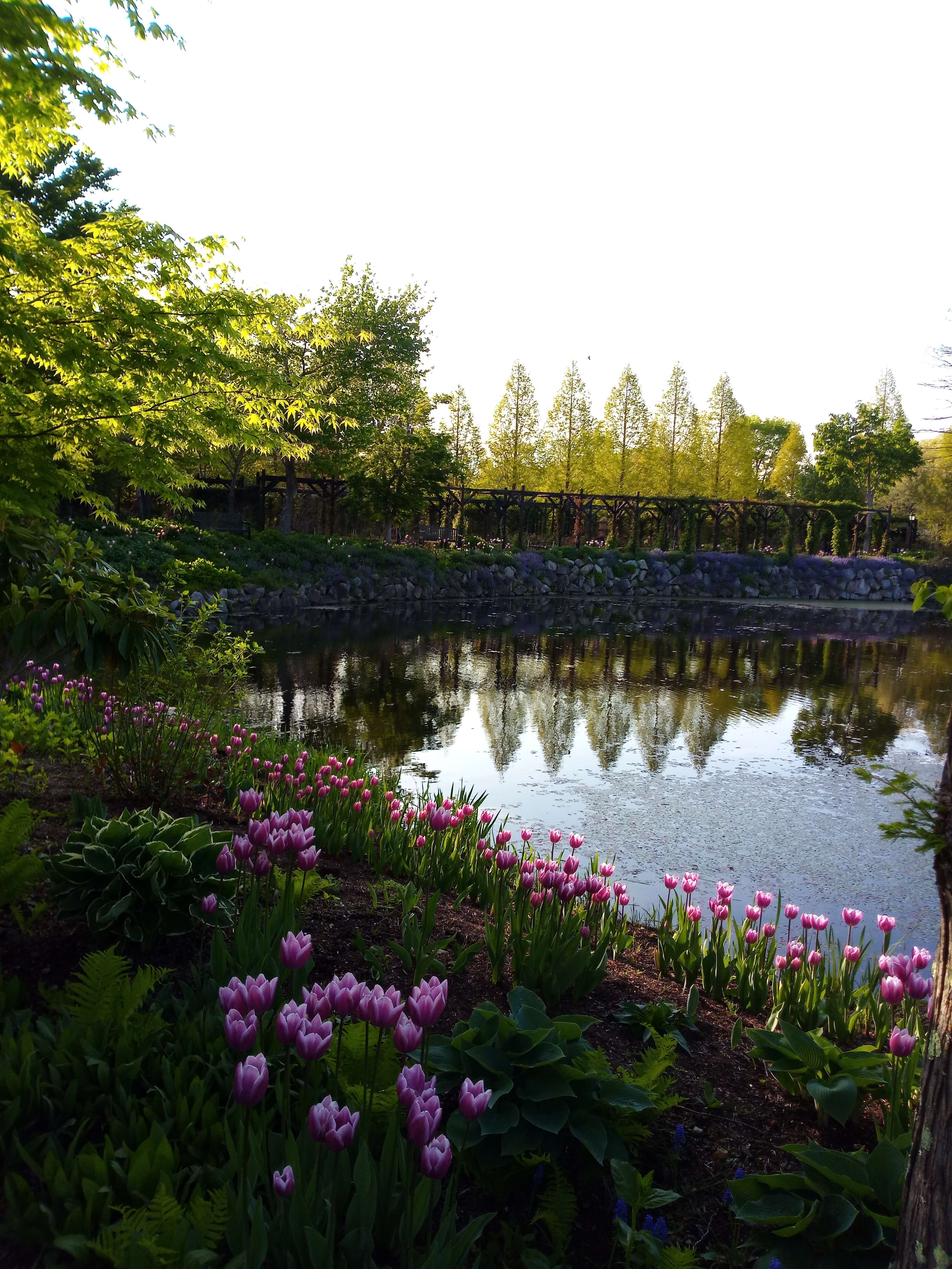 軽井沢レイクガーデン karuizawa-lakegarden3