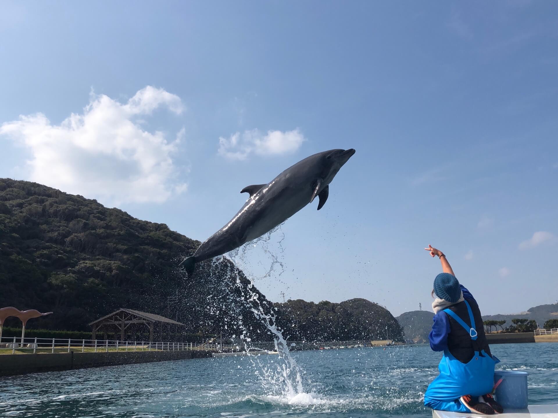 壱岐イルカパーク iki dolphin park3