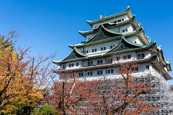 名古屋城（なごやじょう）＜愛知県＞ nagoya castle 日本の城ランキング 阪急交通社japan castle ranking hankyu kotsu img_182779_4