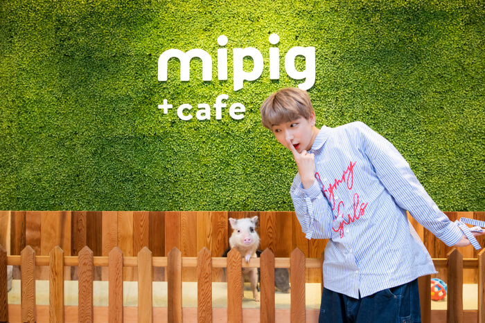 TEMPURA KIDZ P→★ mipig cafe（マイピッグカフェ）2