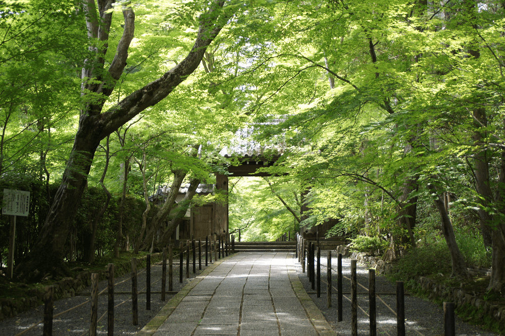 05_光明寺 京都 Kyoto