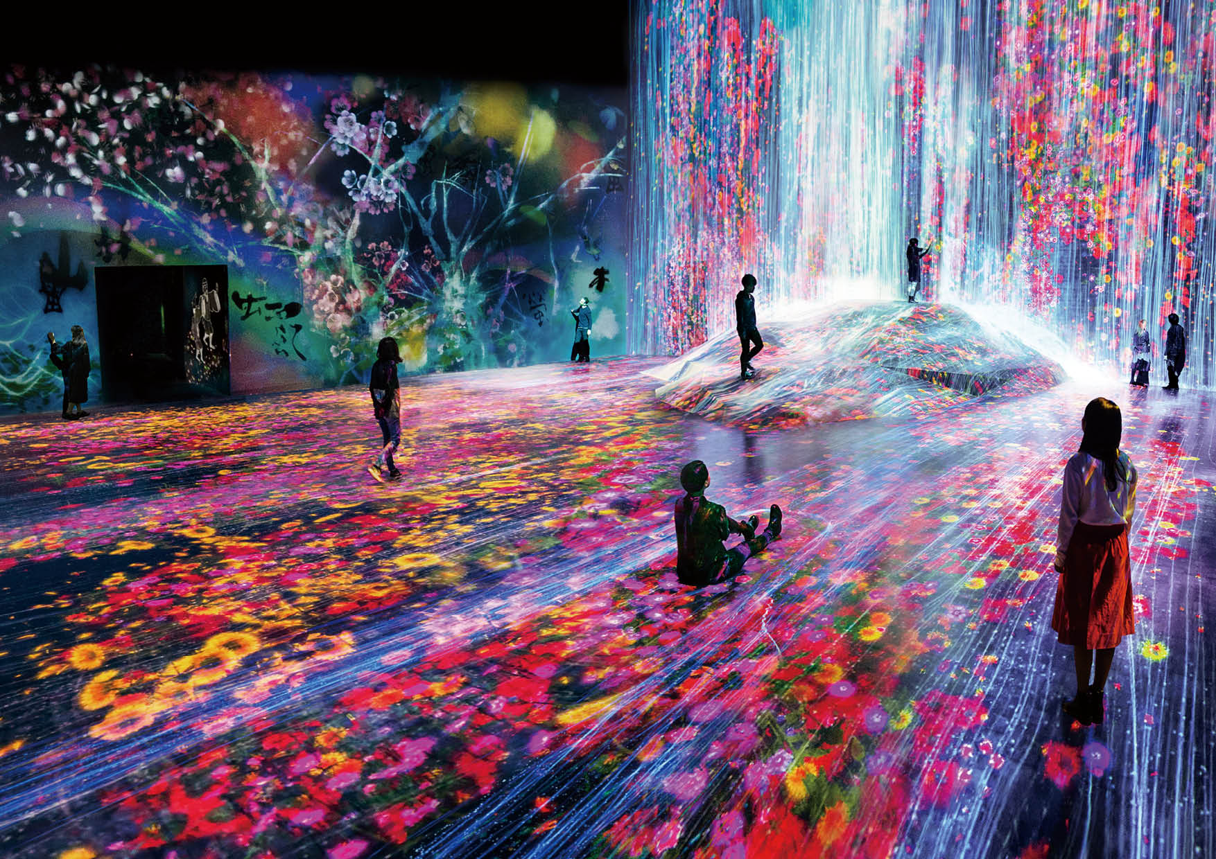 森ビル デジタルアート ミュージアム：エプソン チームラボボーダレス MORI Building DIGITAL ART MUSEUM EPSON teamLab Borderless Main_Borderlesswaorl_takihana_2_3_high hbsdhds