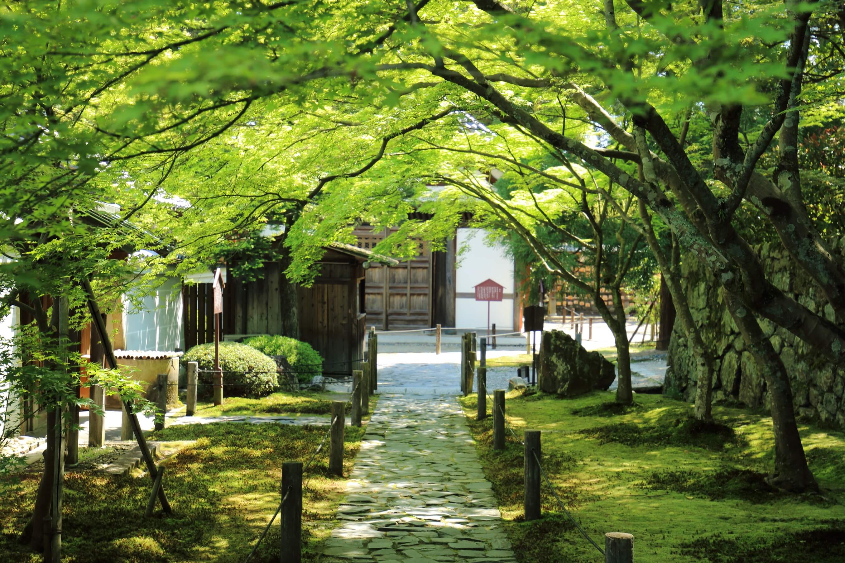 04_酬恩庵一休寺 京都 Kyoto Ikkyuji