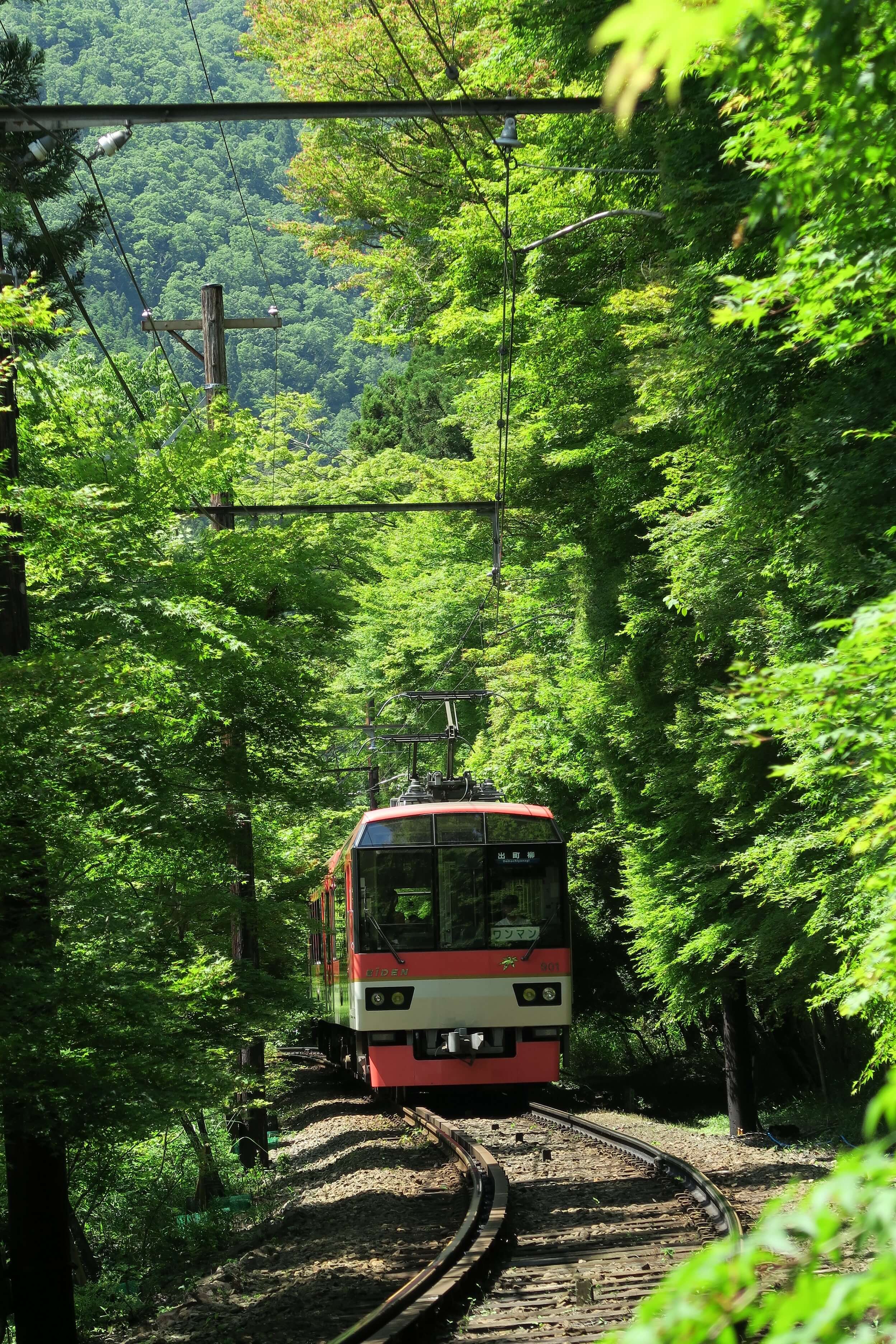 06_叡山電車_もみじのトンネル 京都 Kyoto train