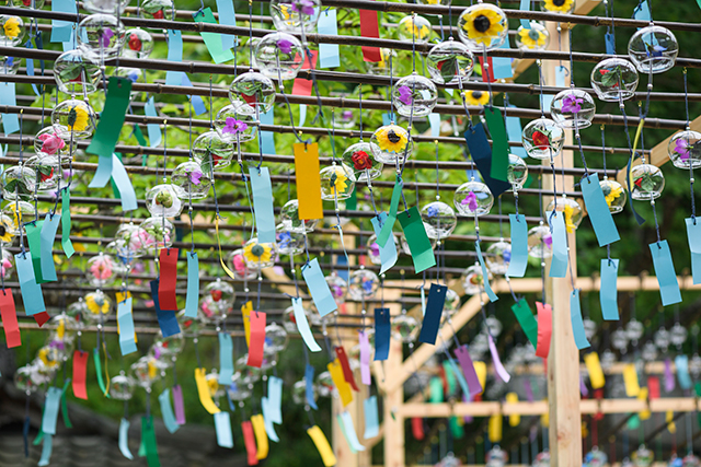 正寿院　京都　Kyoto Shoujuin 風鈴まつり　Winds charm_top