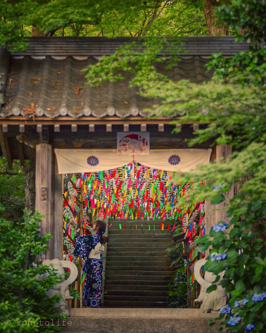 如意輪寺（かえる寺）Nyoirinji Kaerushrine Frogshrine Fukuoka 福岡_3