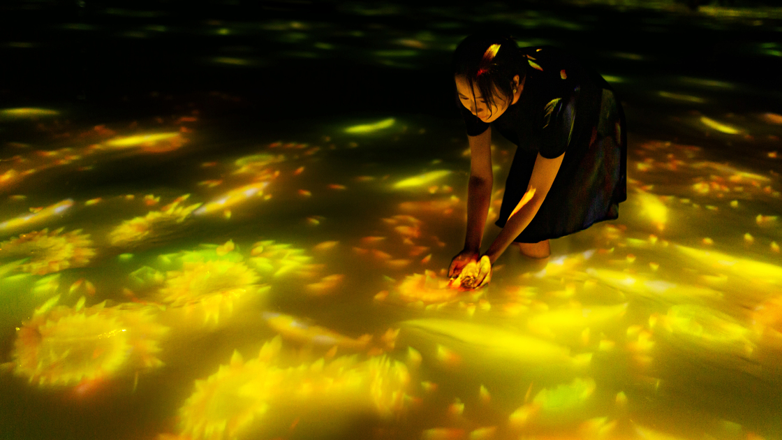 豊洲 観光スポット　チームラボプラネッツ Teamlab planet Toyosu spot sightseeing「人と共に踊る鯉によって描かれる水面のドローイング – Infinity」向日葵画像2