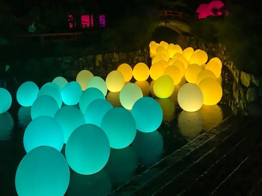 京都 世界遺産 Kyoyo 下鴨神社　Shimogamo Shrine teamlabチームラボ _御手洗池 2