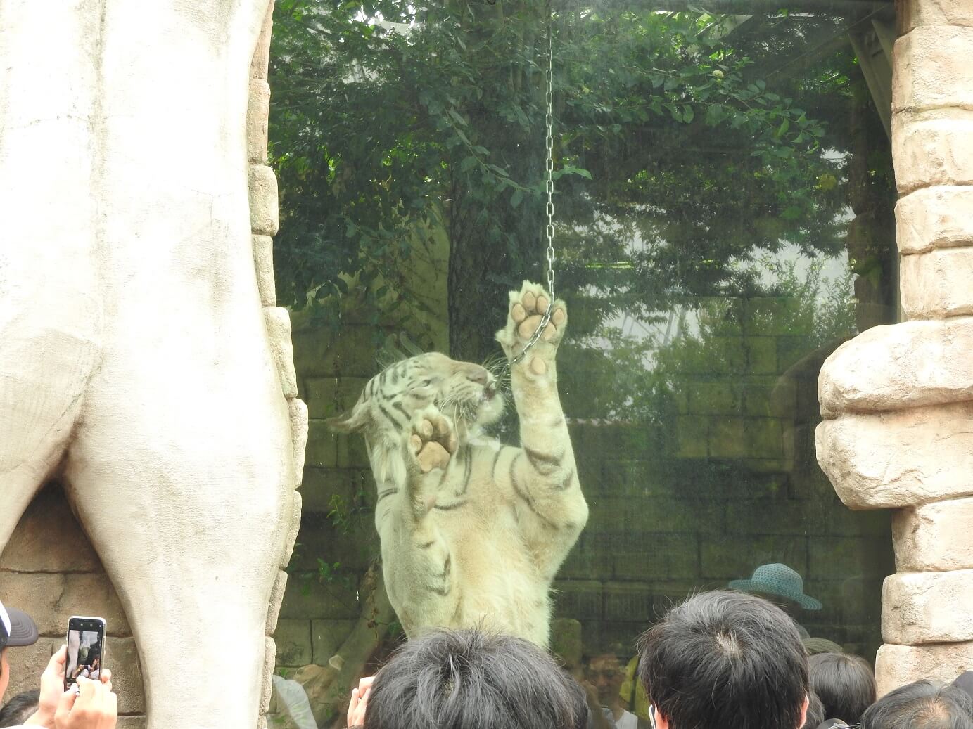 東武動物公園 Tobu animal zoo ホワイトガイド