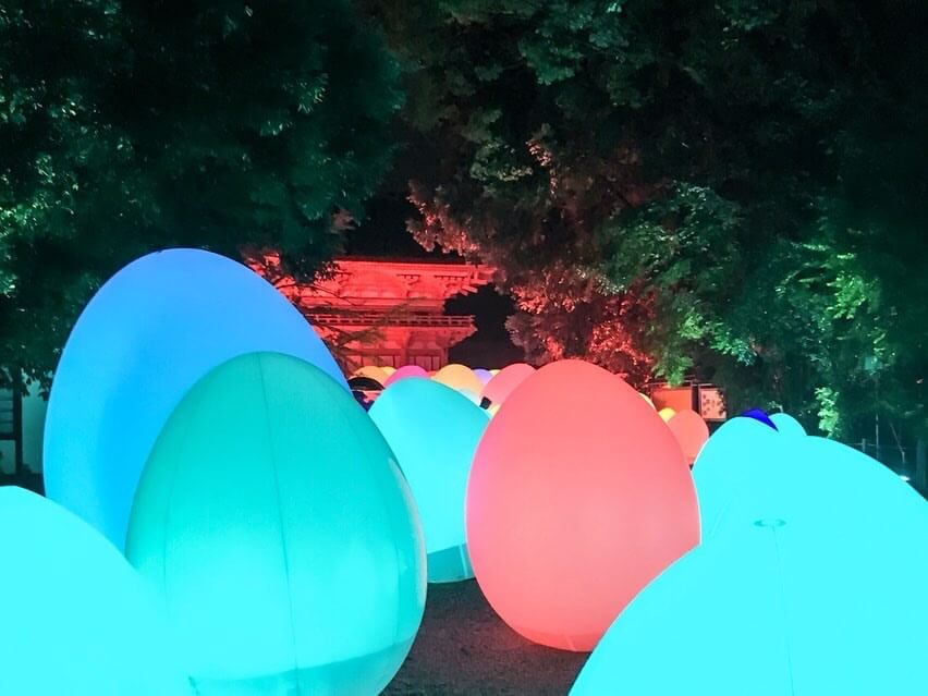 京都 世界遺産 Kyoyo 下鴨神社　Shimogamo Shrine teamlabチームラボ _糺の森 5