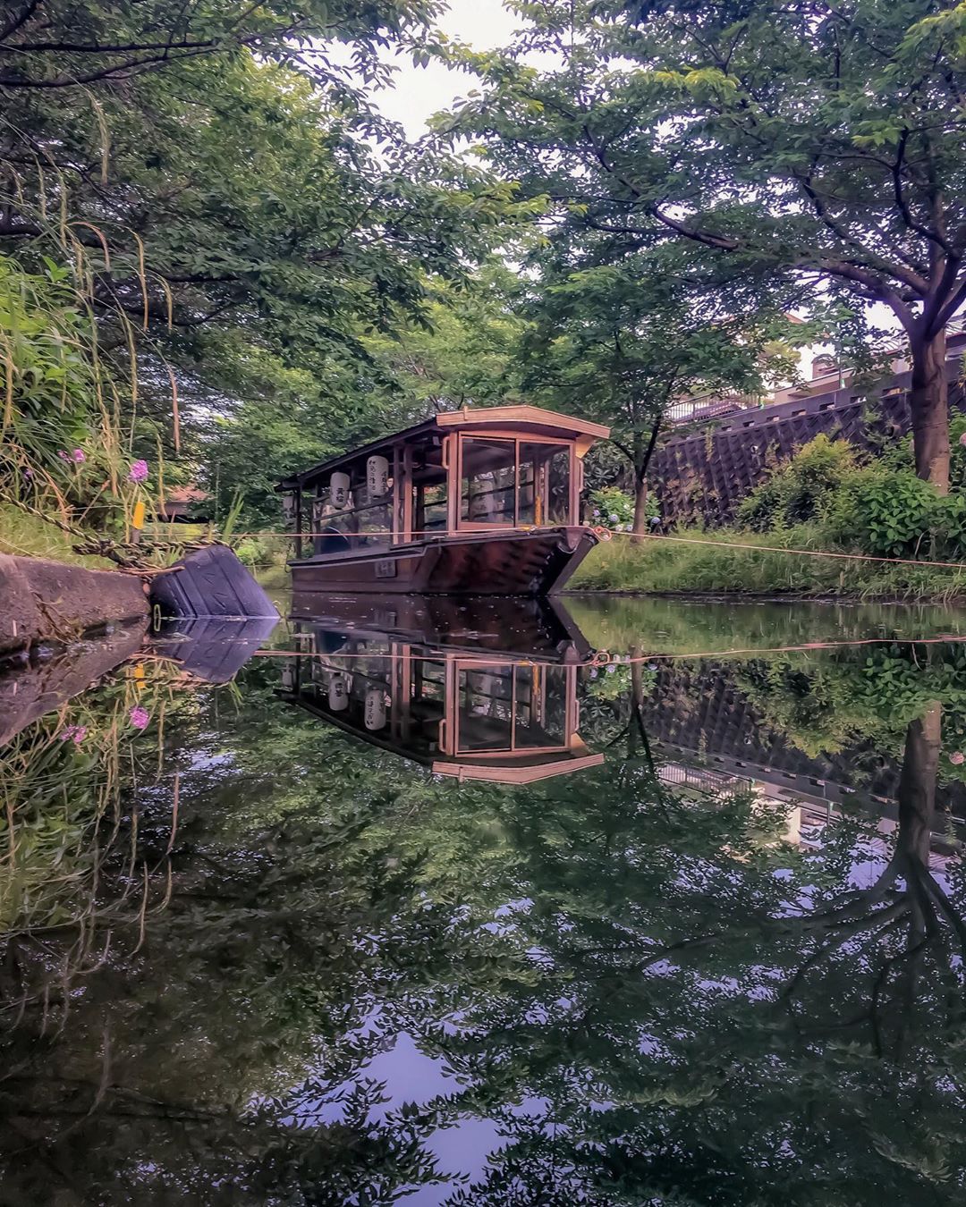 京都 伏見港公園:Kyoto Japan