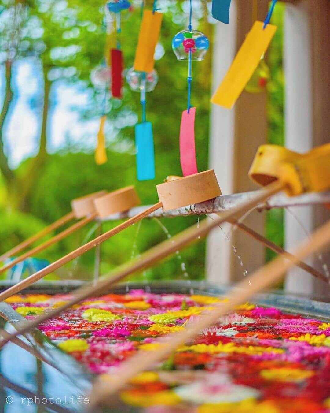 ガーベラの花手水と風鈴で夏の暑さを吹き飛ばす 福岡県 春日神社 Moshi Moshi Nippon もしもしにっぽん
