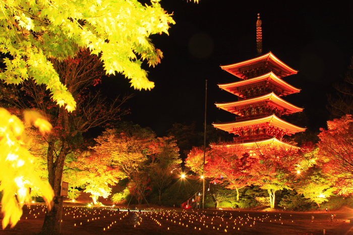 京都 紅葉 Kyoto autumn leaves 成相寺 copy