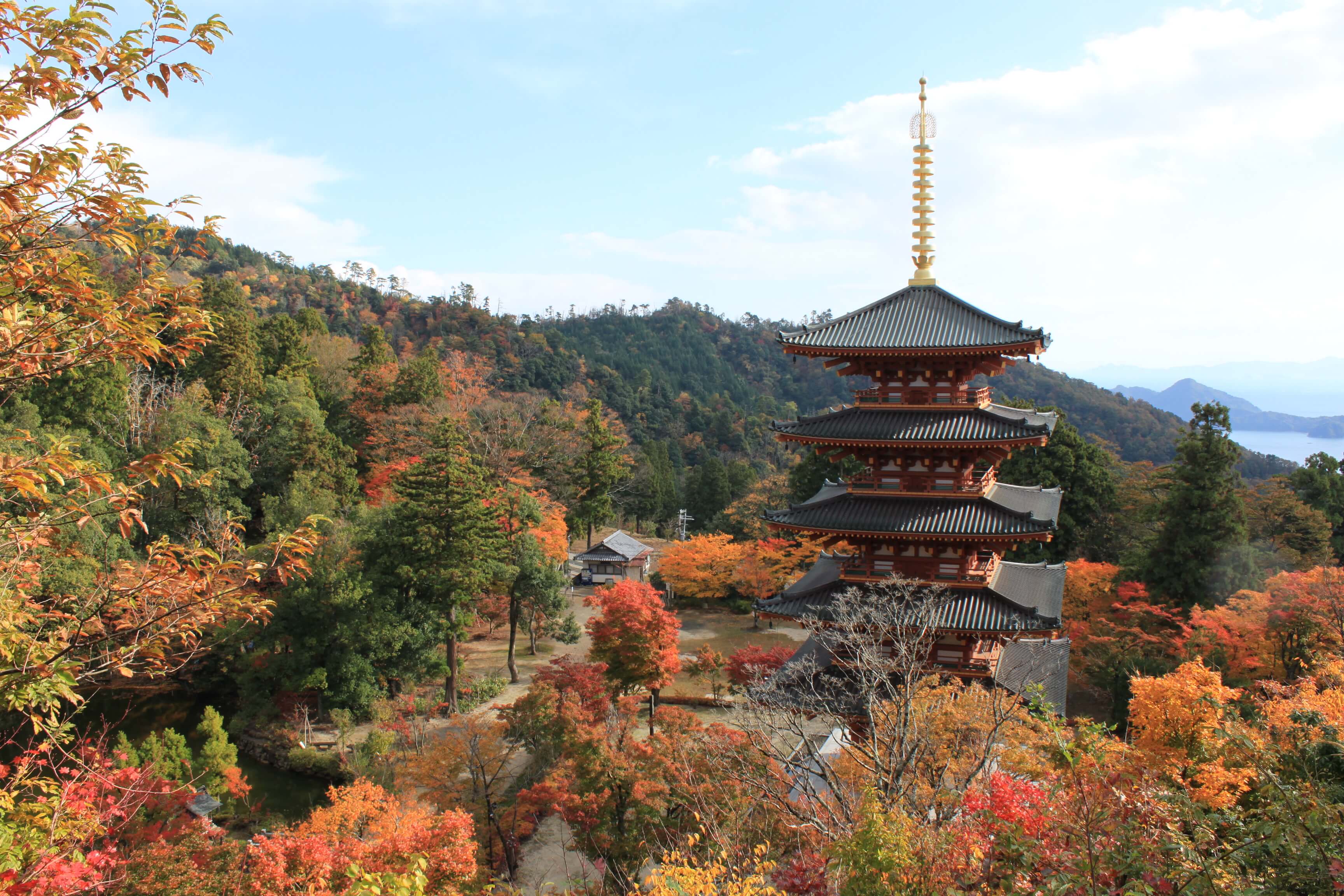 京都 紅葉 Kyoto autumn leaves 成相寺