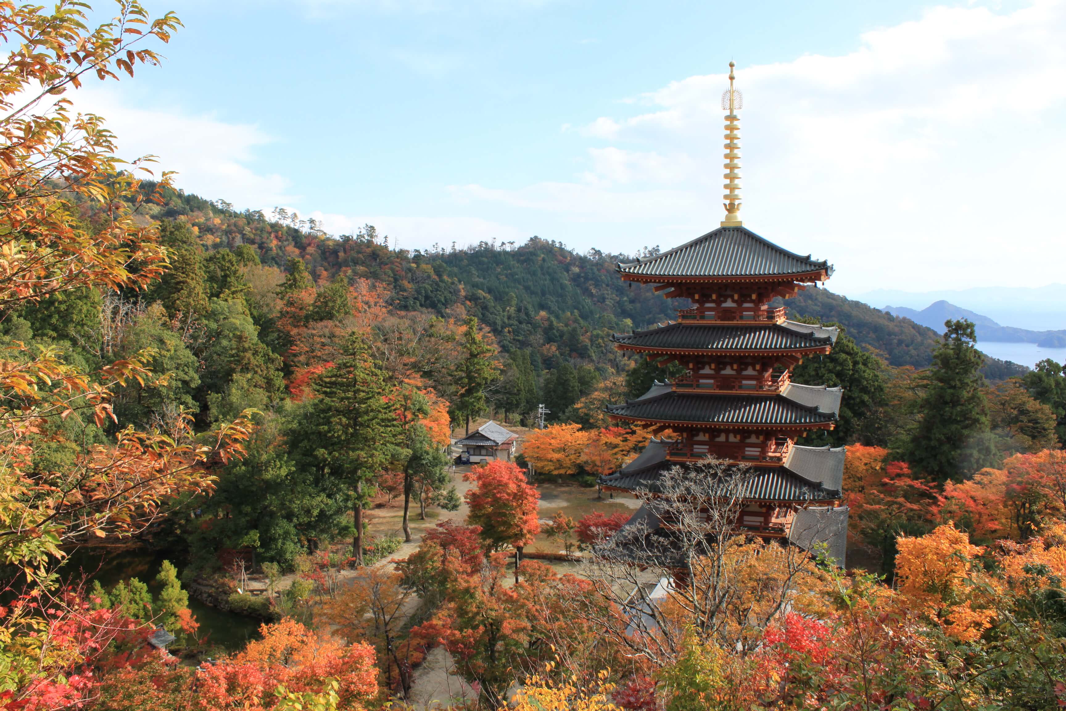 %e4%ba%ac%e9%83%bd-%e7%b4%85%e8%91%89-kyoto-autumn-leaves-%e6%88%90%e7%9b%b8%e5%af%ba-2