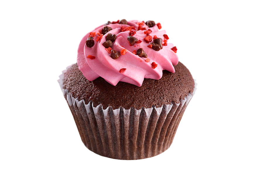 raspberry-and-choco-cupcake%e3%83%a9%e3%82%ba%e3%83%99%e3%83%aa%e3%83%bc%ef%bc%86%e3%83%81%e3%83%a7%e3%82%b3%e3%82%ab%e3%83%83%e3%83%97%e3%82%b1%e3%83%bc%e3%82%ad-2