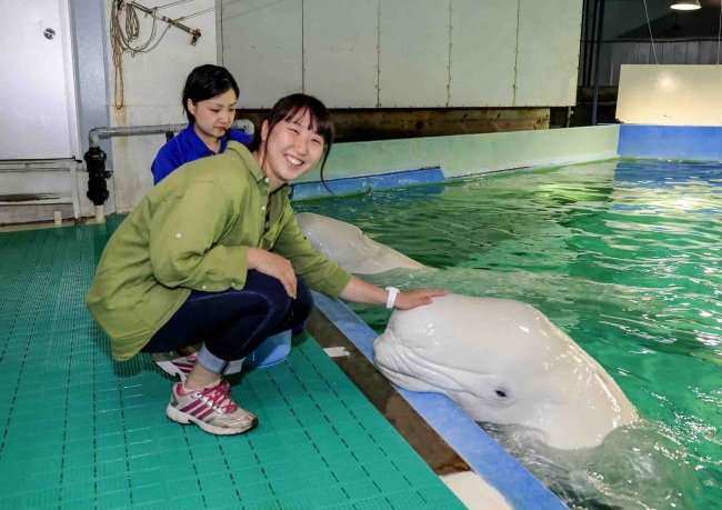 Kamogawa SEA WORLD 鴨川シーワールド