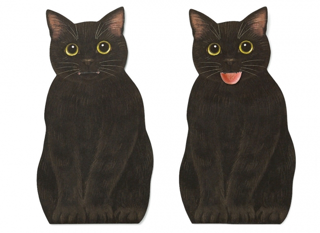 black-cat-%e9%bb%92%e7%8c%ab-2