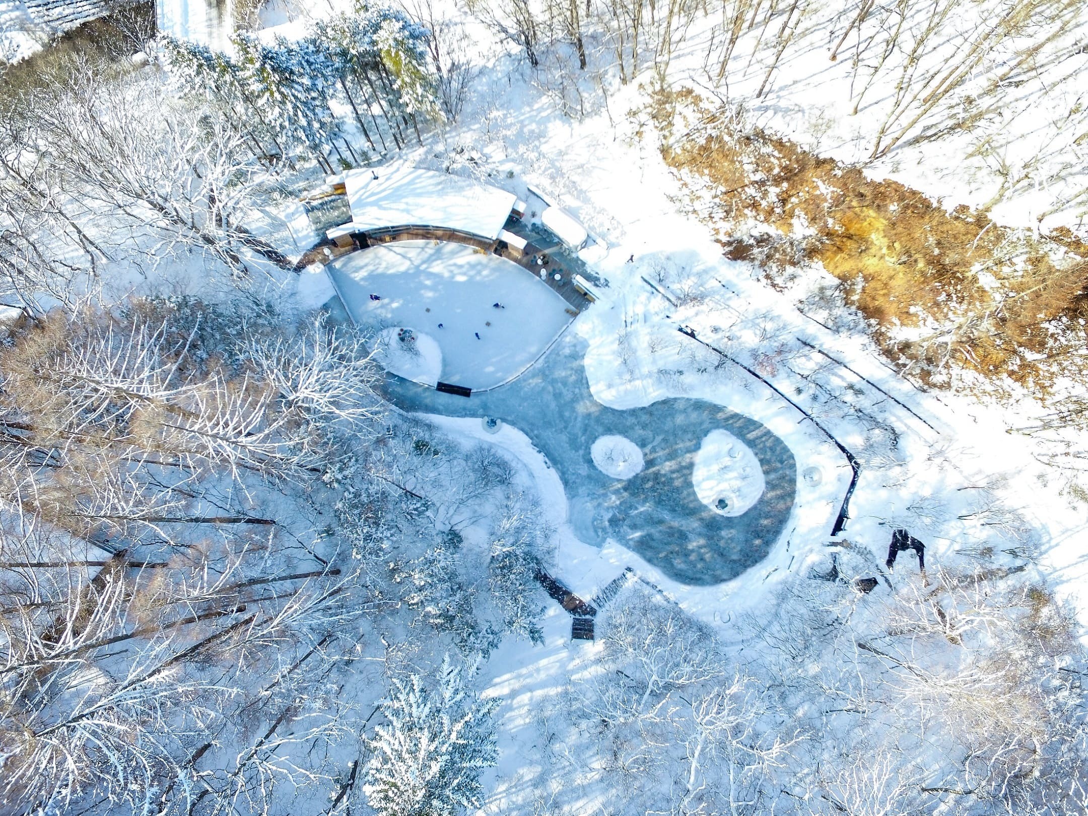 Karuizawa Ice Skating