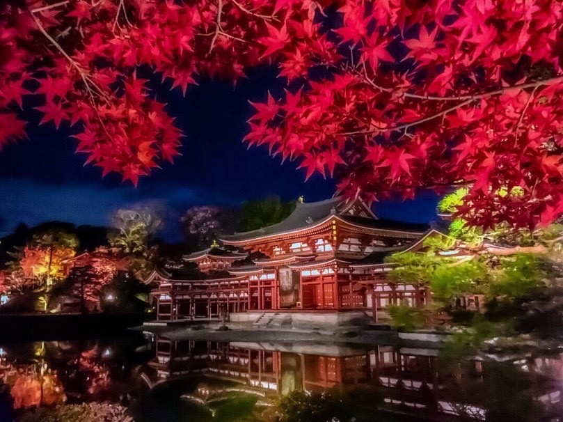 床リフレクションから花手水まで 秋の京都 紅葉 絶景スポット 5選 Moshi Moshi Nippon もしもしにっぽん