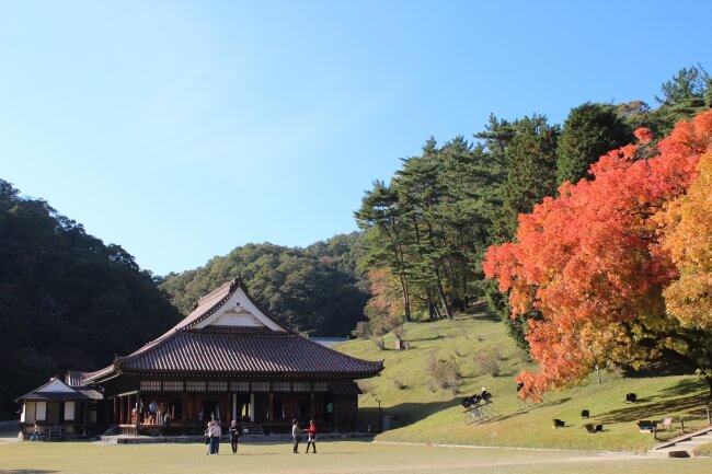 岡山県　旧閑谷学校　しずたに　Okayama Shizutani Colour autumn__2