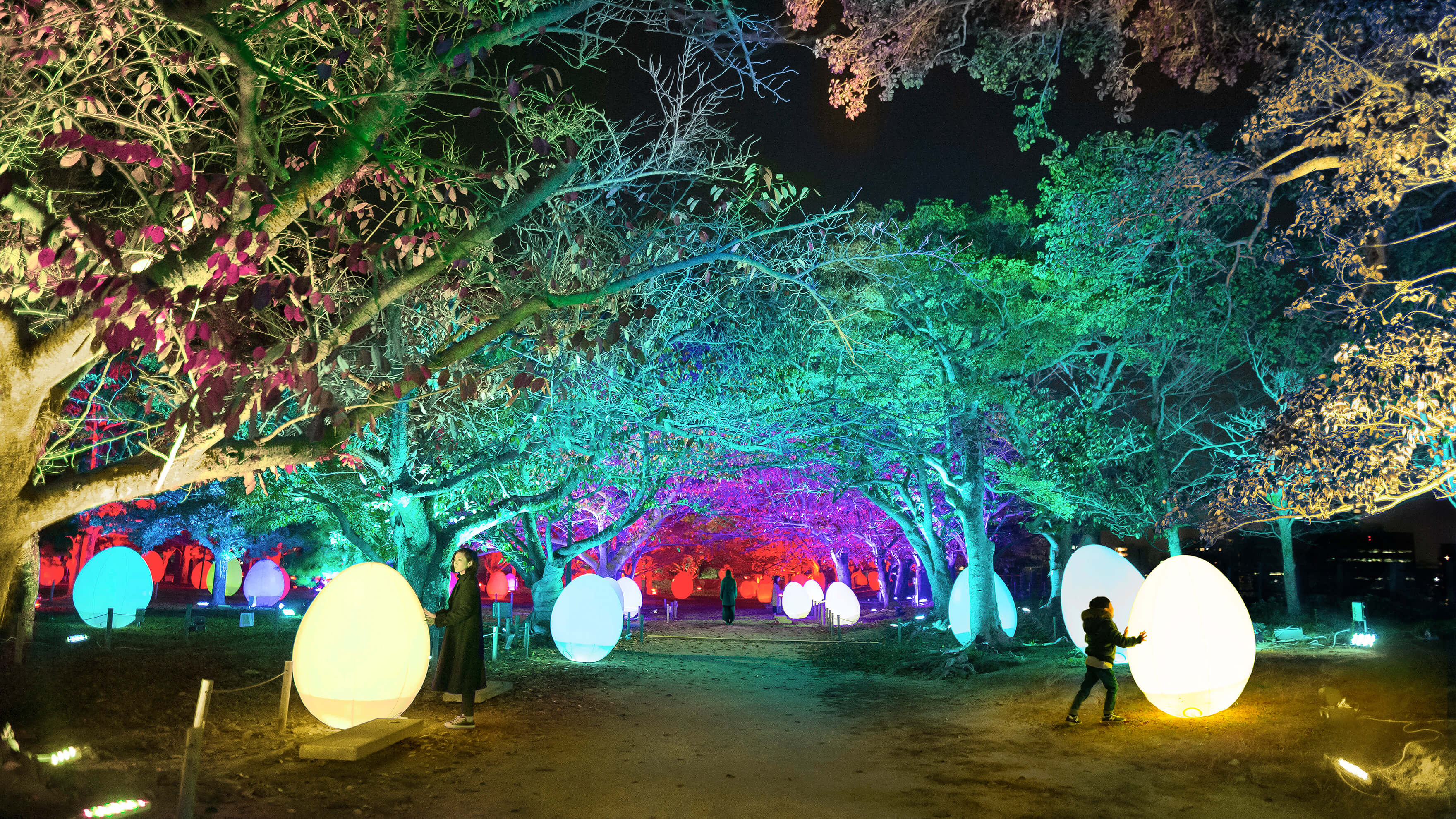 チームラボ 福岡城跡 光の祭 2019-2020 Light Festival in Fukuoka Castle Ruins