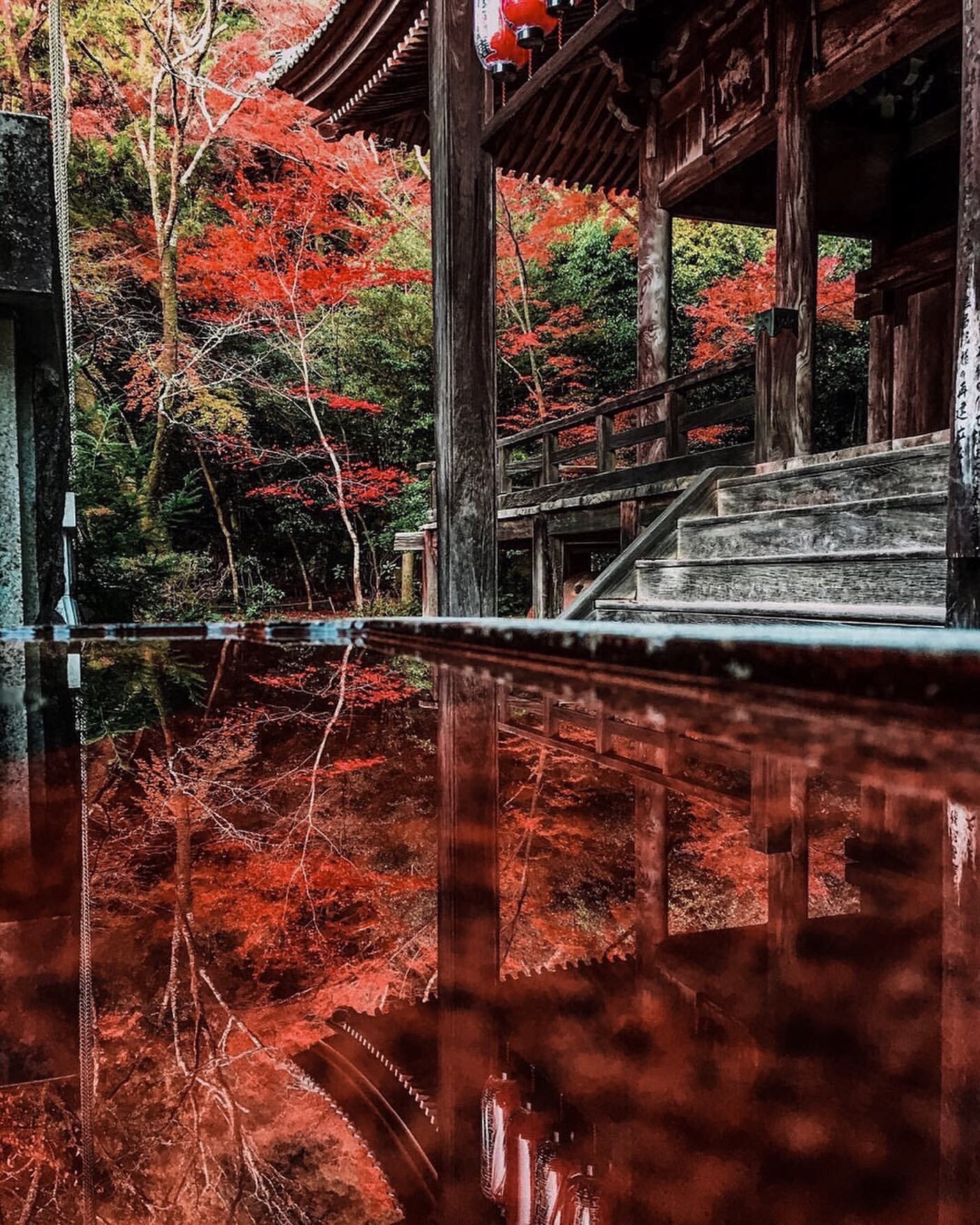 床リフレクションから花手水まで 秋の京都 紅葉 絶景スポット 5選 Moshi Moshi Nippon もしもしにっぽん
