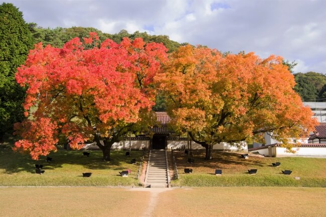 岡山県　旧閑谷学校　しずたに　Okayama Shizutani Colour autumn_4