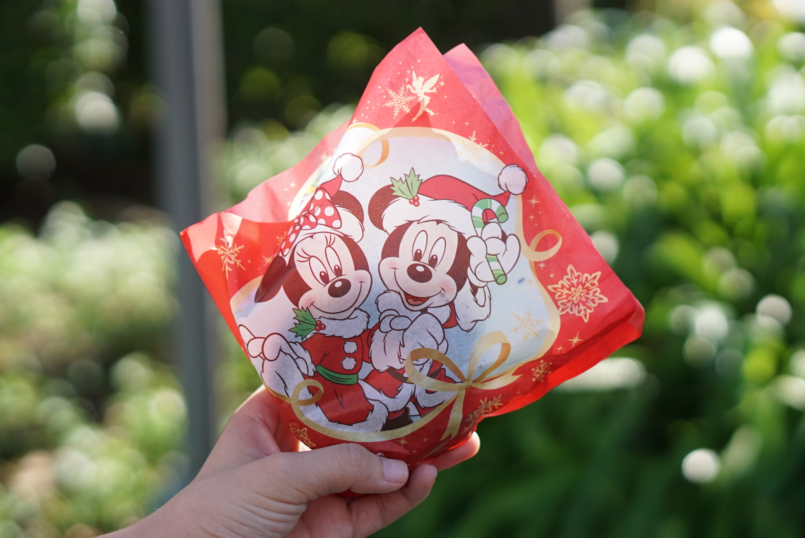 東京ディズニーランド　ディズニー・クリスマス　2019　Tokyo Disney Land Christmas 東京迪士尼樂園 聖誕節_15