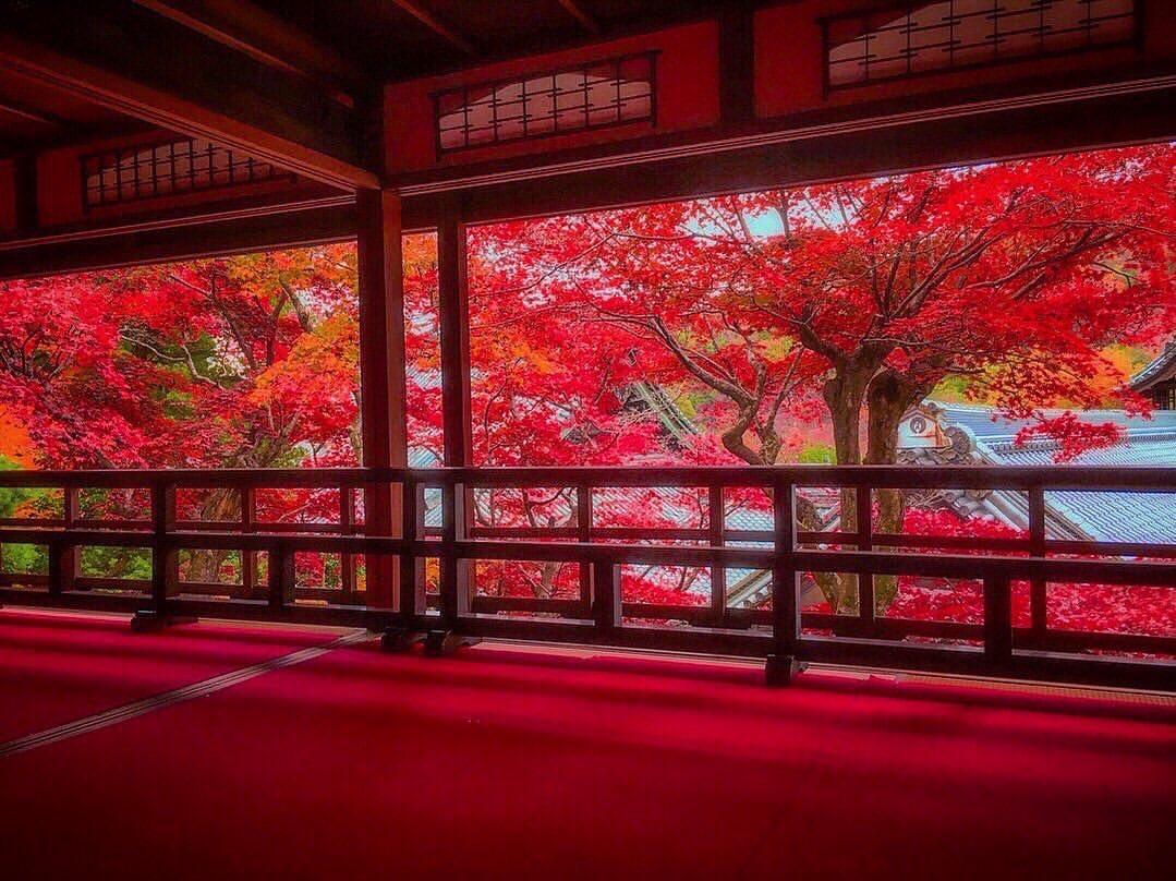 Shadow 公園  Kyoto-shi Kyoto