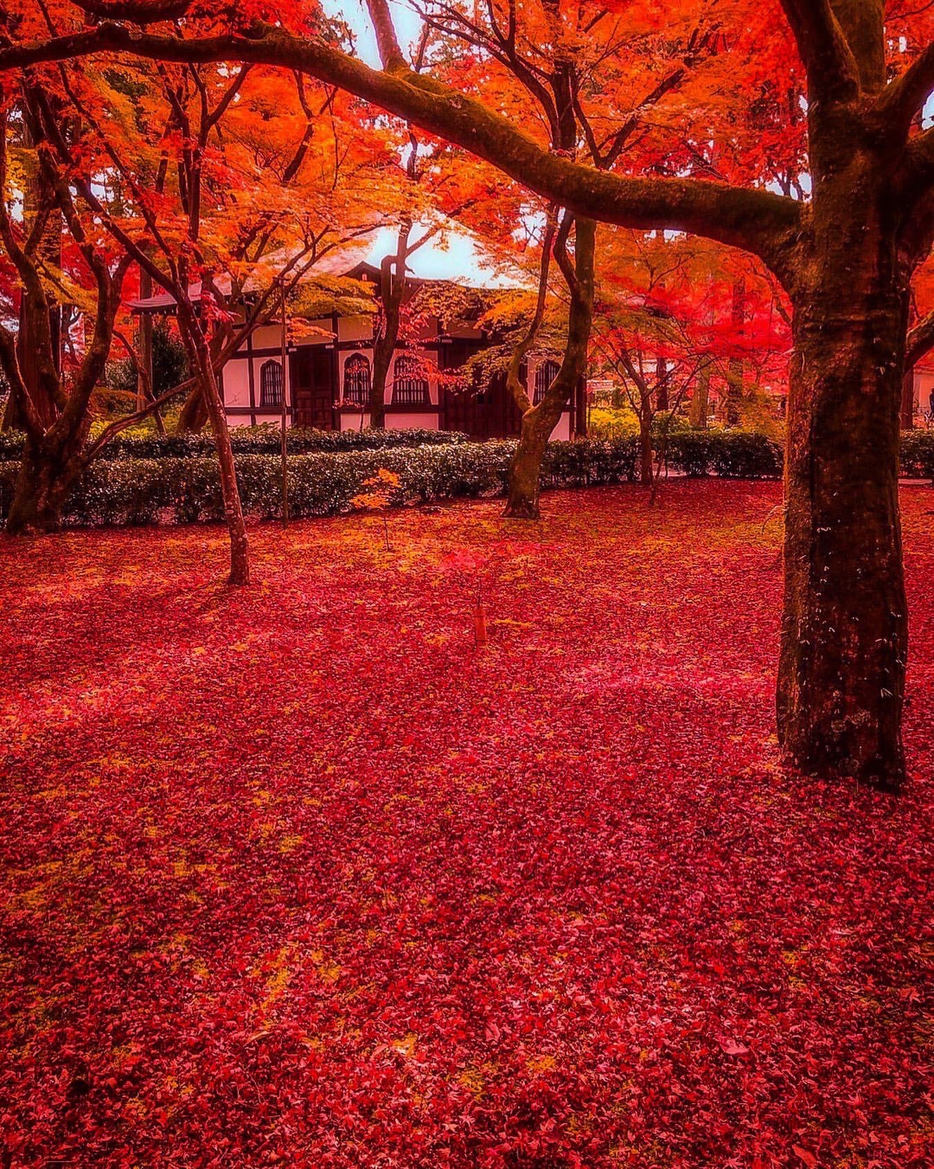 真如堂 Shinshogokuraku-ji Kyoto 2