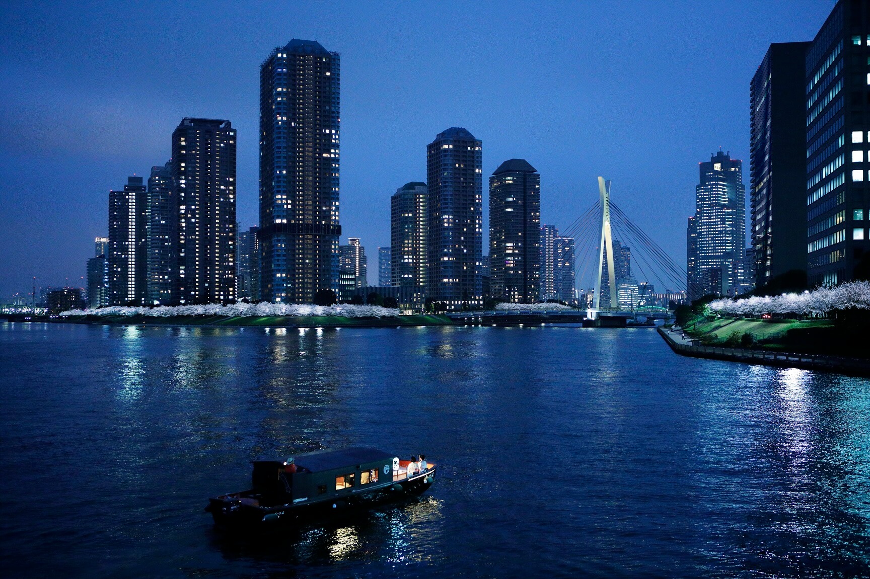 花見 桜　東京　隅田川　Sumida river Cherry blossom Tokyo　人力車 着物 Kimono_夜景