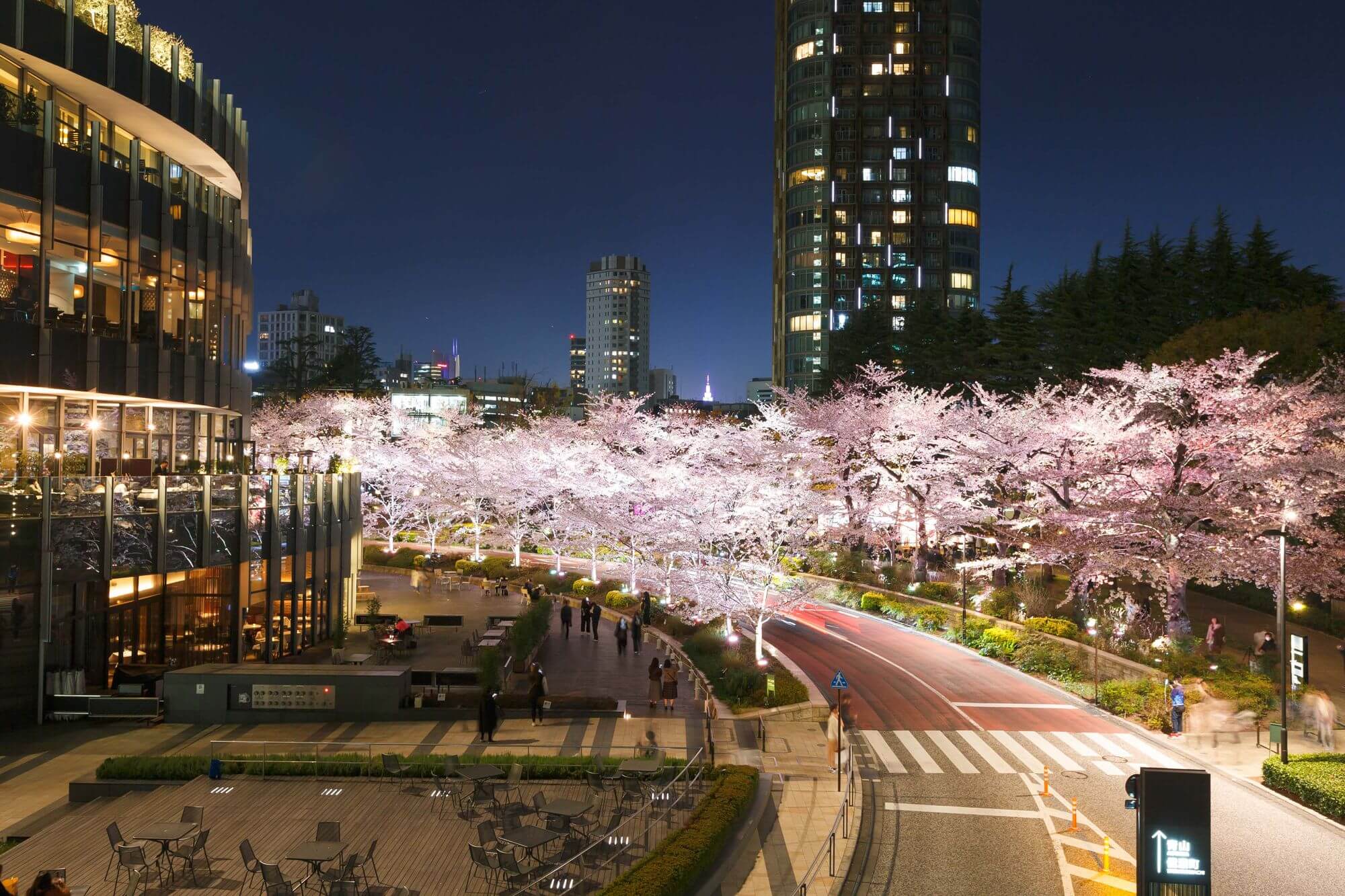 東京ミッドタウン 桜 イベント Sakura event MIDTOWN BLOSSOM 2020 5