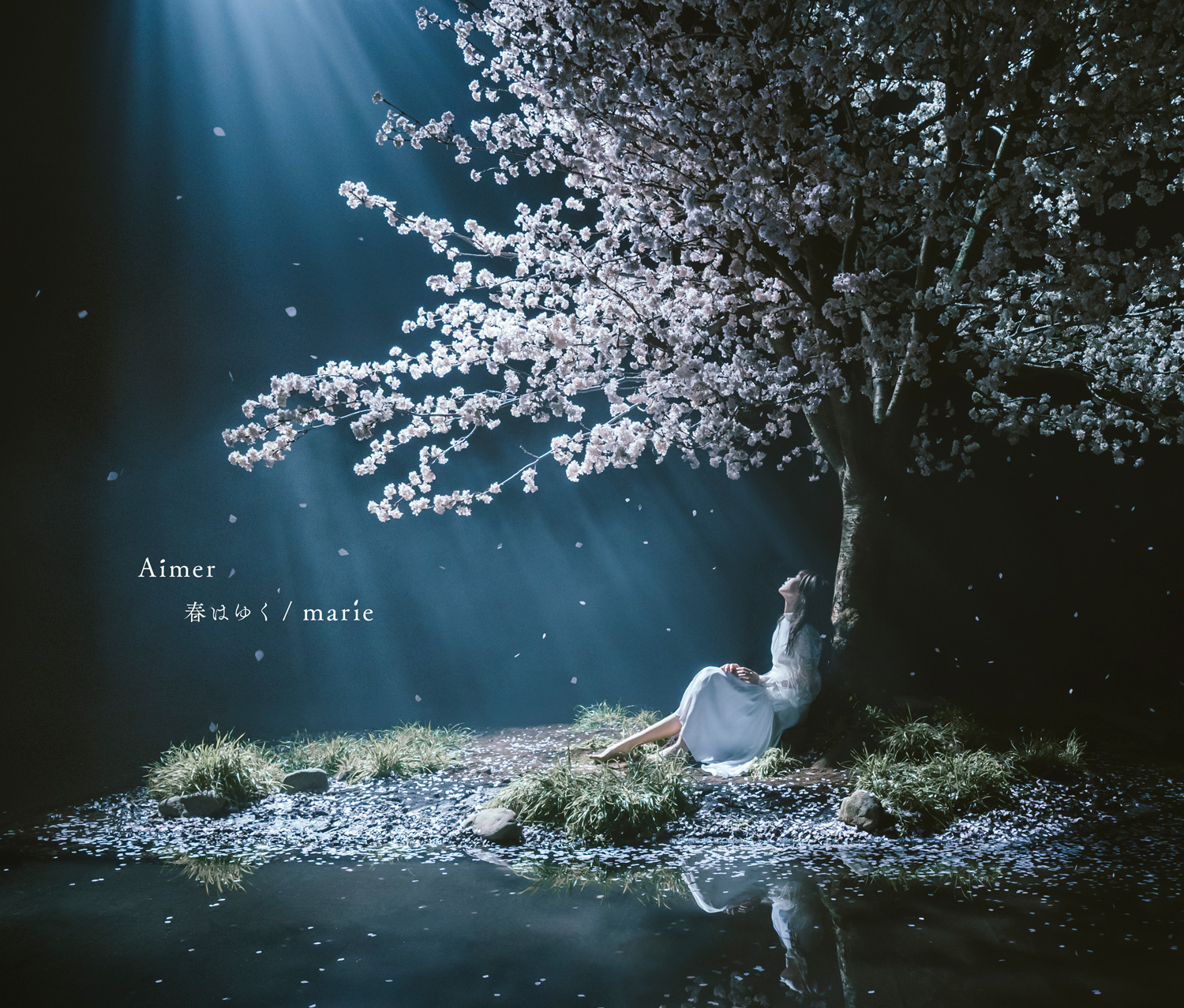 Aimer A Singer And Her Captivating Voice Shining Light Into The