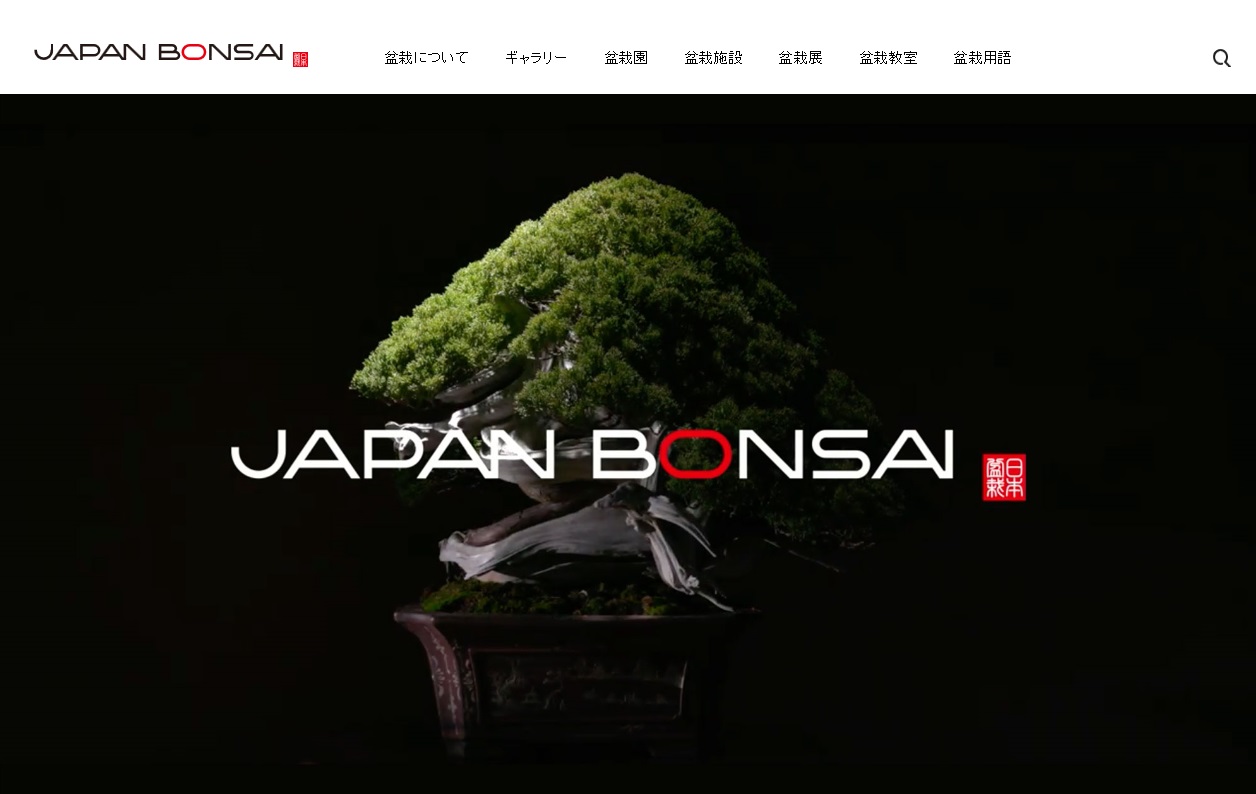 japan-bonsai-website-%e6%97%a5%e6%9c%ac%e7%9b%86%e6%a0%bd%e3%83%9d%e3%83%bc%e3%82%bf%e3%83%ab%e3%82%b5%e3%82%a4%e3%83%88%e6%97%a5%e6%9c%ac%e7%9b%86%e6%a0%bdsite-2