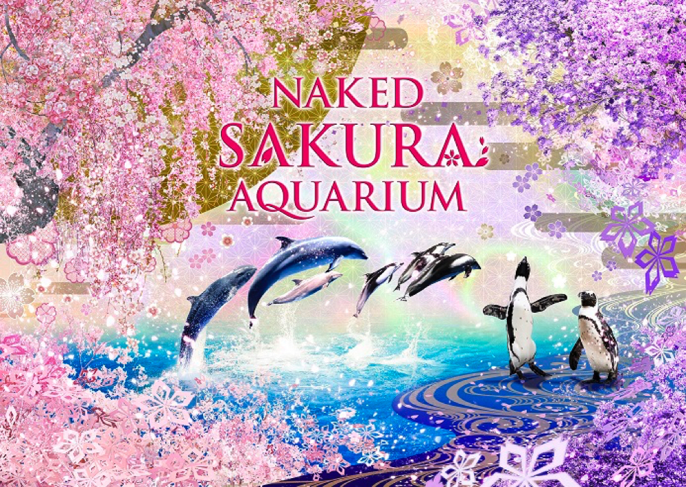 Aquarium Shinagawa Tokyo Cherry blossoms