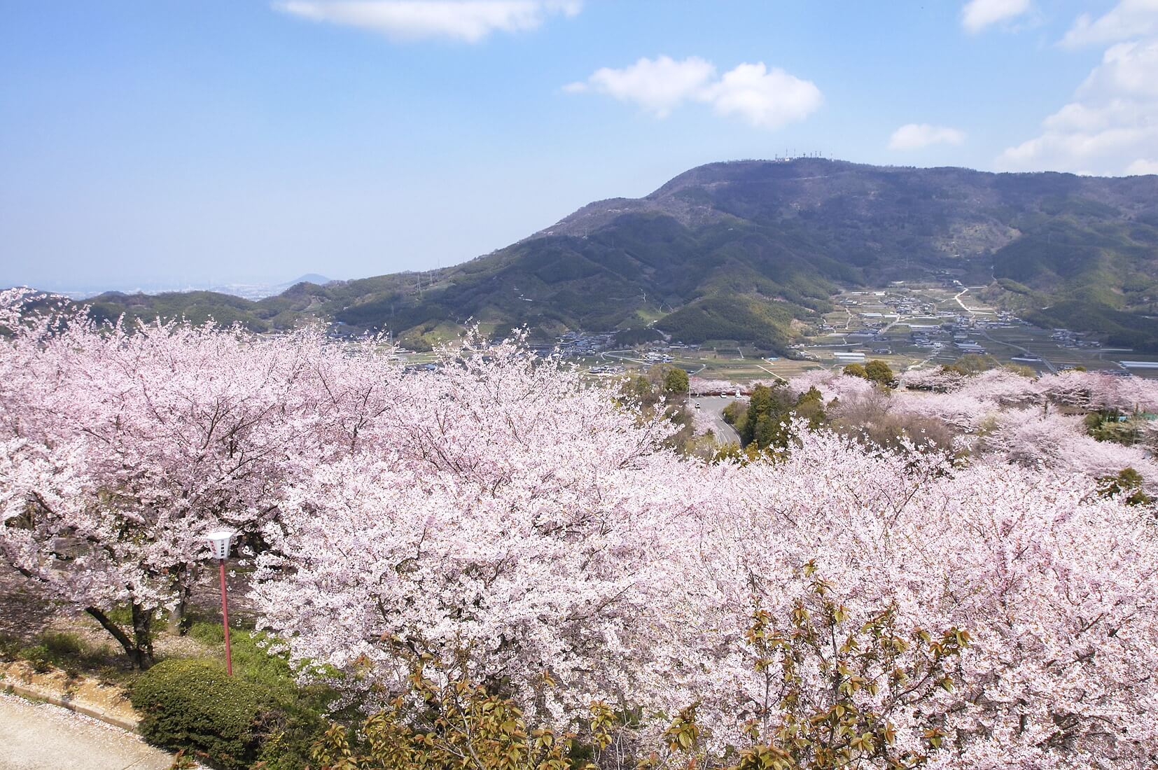 香川県高松市 香川縣高松市 Takamatsu City, Kagawa Prefecture_18