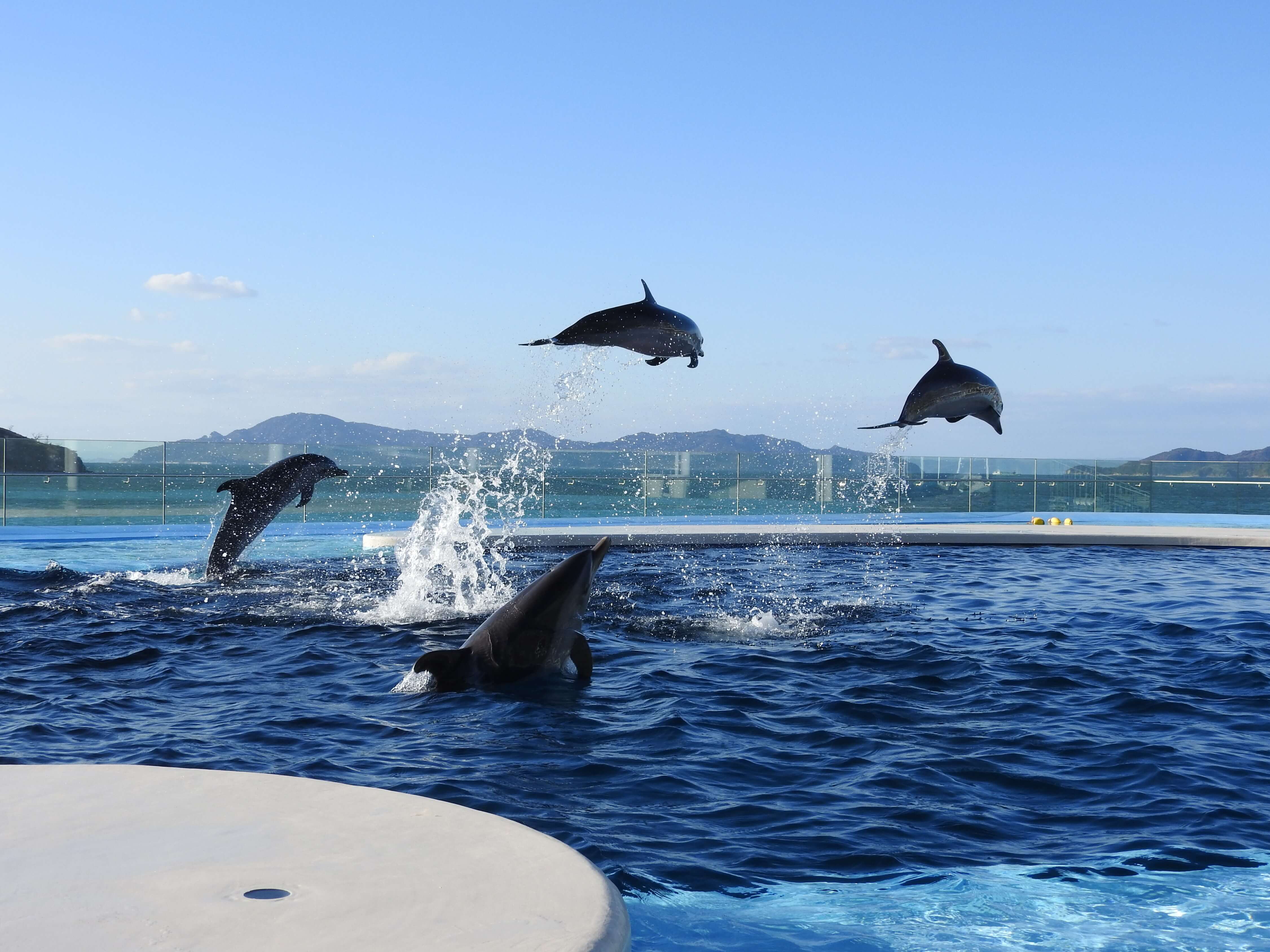 香川県高松市 香川縣高松市 Takamatsu City, Kagawa Prefecture