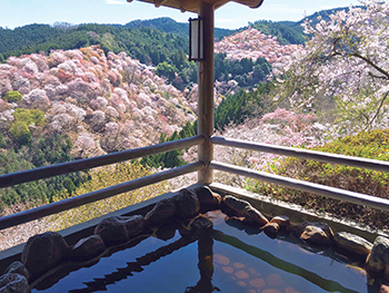 じゃらんさくら風呂ランキング Jalan sakura hot spring ranking Jalan 櫻花溫泉排行_4