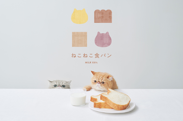 ねこ型食パン専門店 Cat Shaped Bread Bakery 貓型麵包專賣店