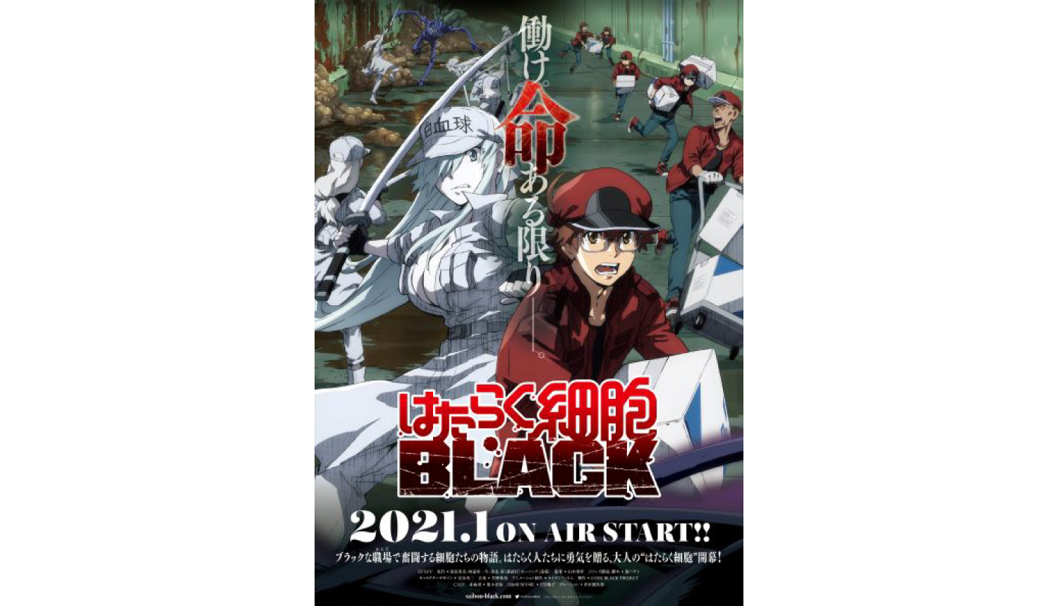 Cells at Work! Code Black Anime to Premiere in January 2021, Cast and Key  Visual Revealed | MOSHI MOSHI NIPPON | もしもしにっぽん