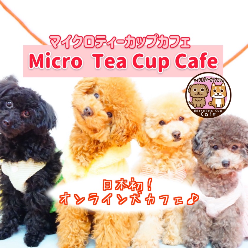 オンライン犬カフェ-Online-Dog-Cafe-在線狗咖啡館-2