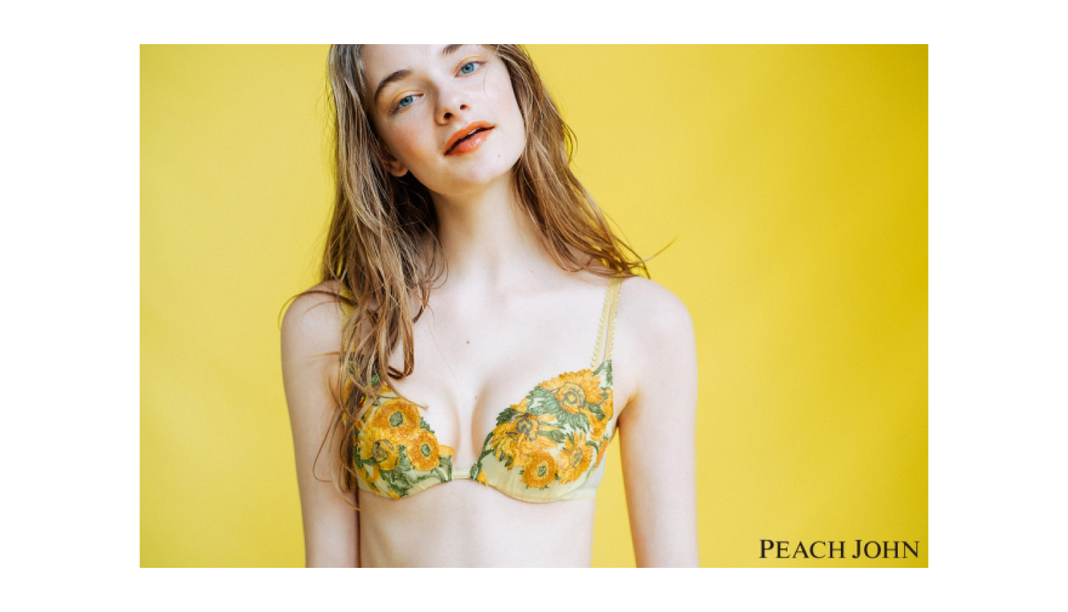 Peach-John-ピーチジョン-巨匠のブラ　ゴッホ　ミュシャ　モネ-under-wear-cute_バナー