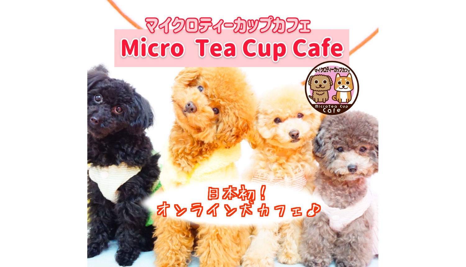 オンライン犬カフェ-Online-Dog-Cafe-在線狗咖啡館