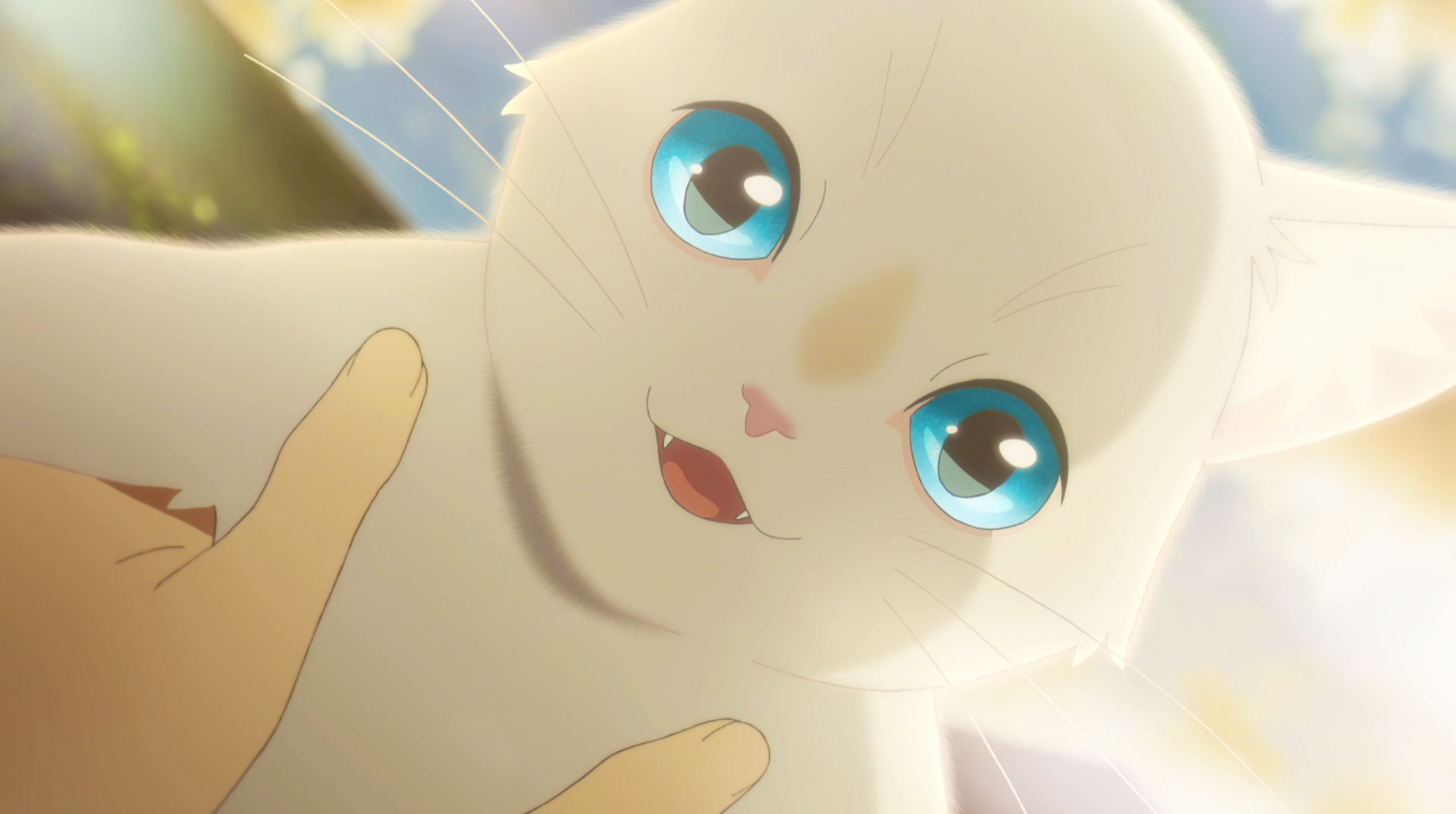 Netflix 泣きたい私は猫をかぶる 想哭的我戴上了貓的面具 Nakitai Watashiwa Nekowo Kaburu しかるねこ　太郎