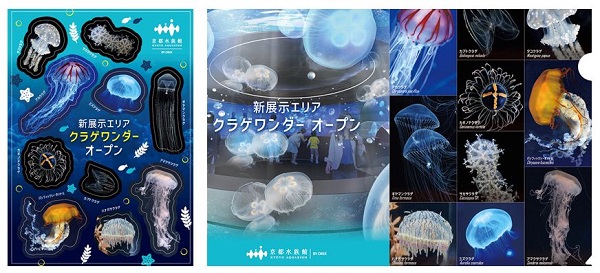 15時から楽しむ、放課後水族館 京都水族館 Kyoto Aquarium